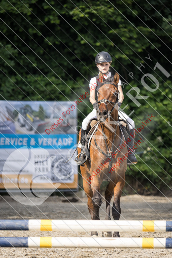 IMG_5983 | Sport-, Event- und Tierfotos in Profiqualität. Einfach auswählen, bestellen und herunterladen. Dein Moment – perfekt festgehalten.