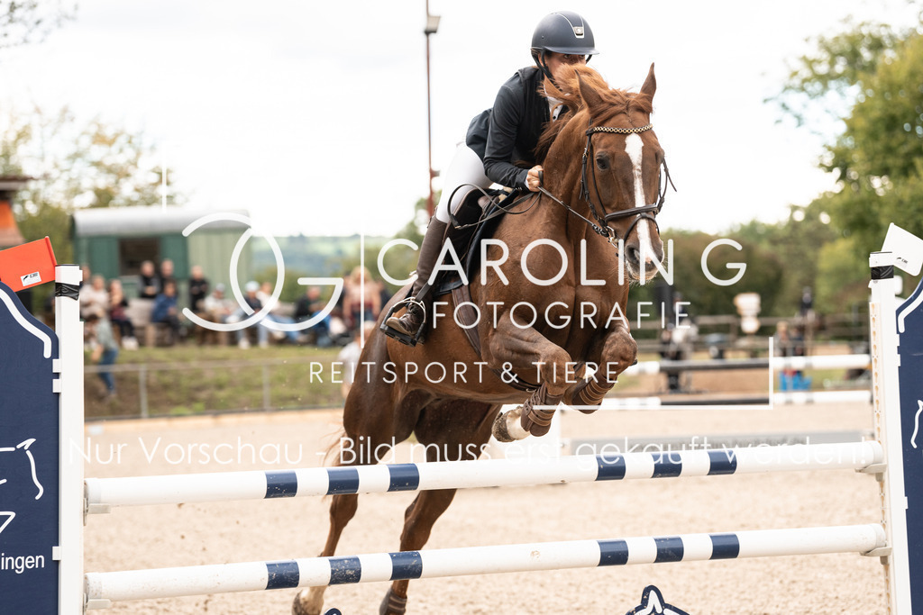 DSC04113 | Carolin Gieschke