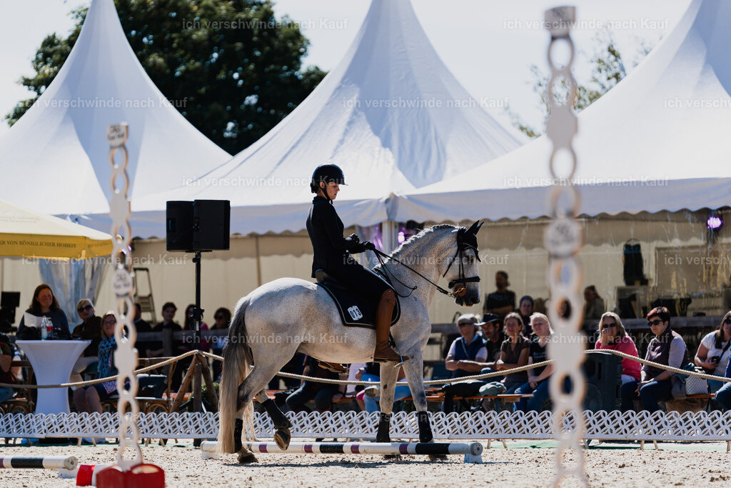 Svea13FHC2025-08708 | working equitationturnier fotograf videograf stoibphotography marixx film working equitation deutschland reitsport turnierfotografie eventfotografie equestrian events