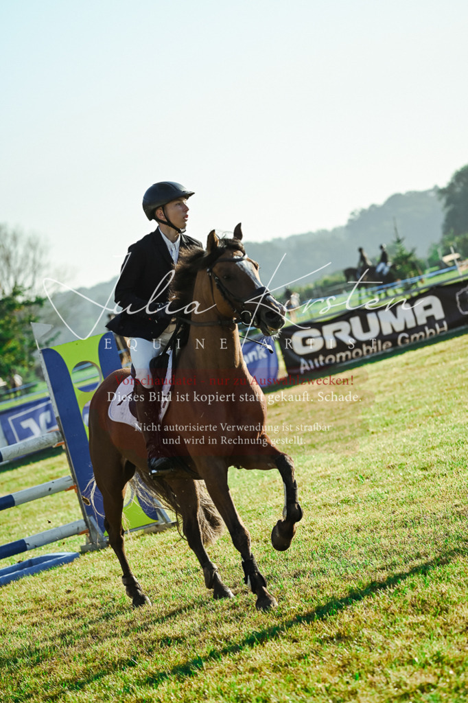 DSC_4112 | Pferde- und Turnierfotografie in Westsachsen. Pferdeportraits, Auftragszeichnungen und intuitive Kunst.