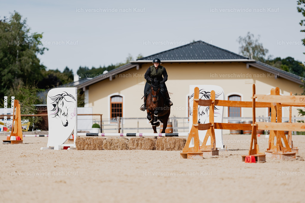 Lara_21_FHC2025-51 | working equitationturnier fotograf videograf stoibphotography marixx film working equitation deutschland reitsport turnierfotografie eventfotografie equestrian events