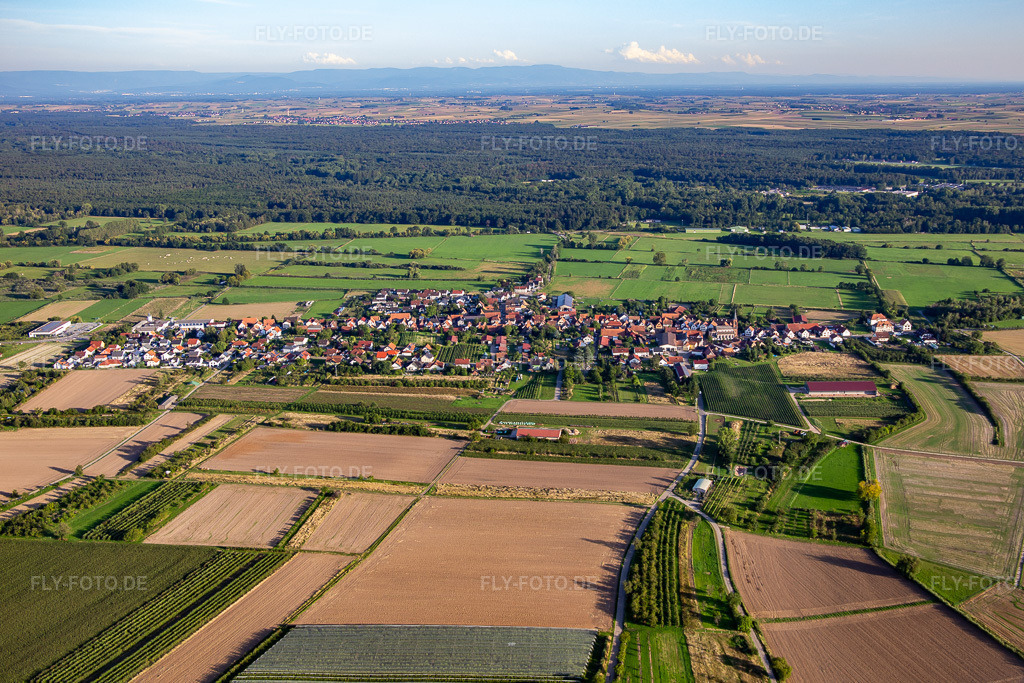 Luftbild: Ortsansicht von Norden in Schweighofen im Bundesland Rheinland-Pfalz in Deutschland. Foto: IMG_137667.jpg vom 11.08.2023 durch Werner Riehm/FLY-FOTO.de
