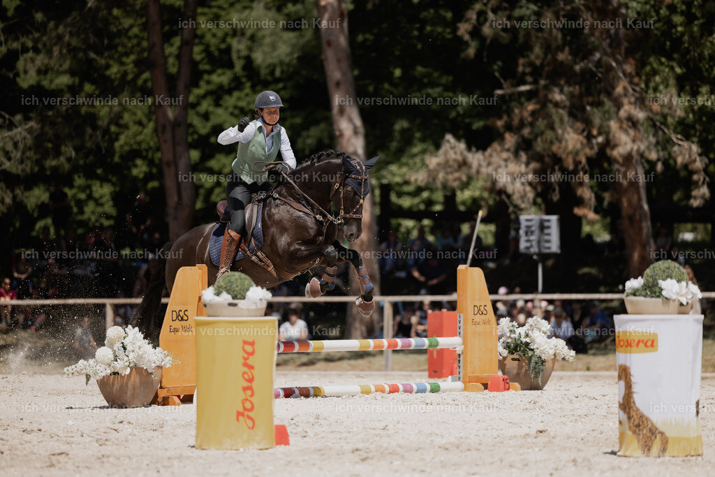 WE_SP_Stoib_315_PI2025_1845 | Pferd International München 2025