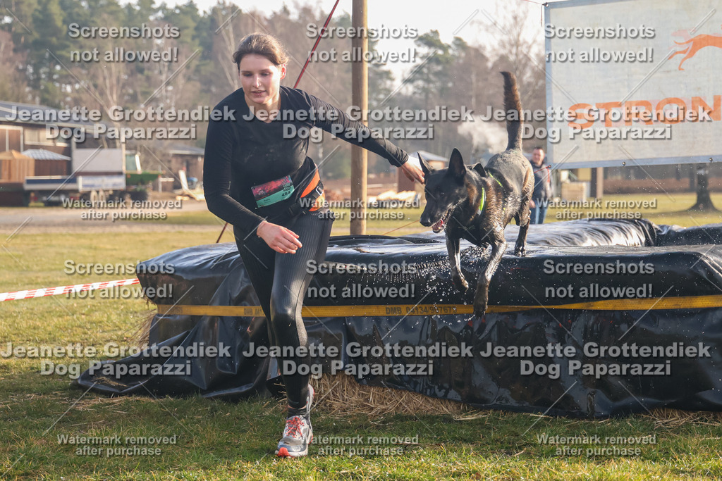 Dog Paparazzi - SD North 0326 900930-113 | Dog Paparazzi Jeanette Grottendiek Fotografie & Videografie - Realisiert mit Pictrs.com
