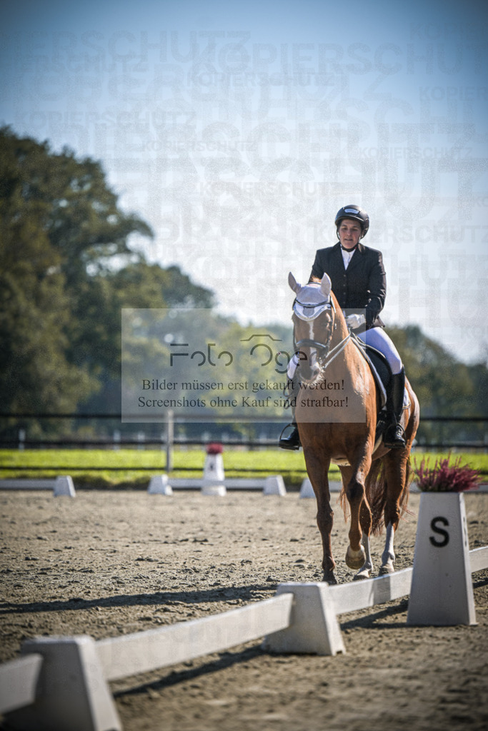 DOS_1756 | Entdecke hochwertige Reitturnierfotos von Foto Oger. Professionell, emotional und authentisch – jetzt Lieblingsmomente im Shop bestellen.Deutschlandweite Turnierfotografie. - Realisiert mit Pictrs.com