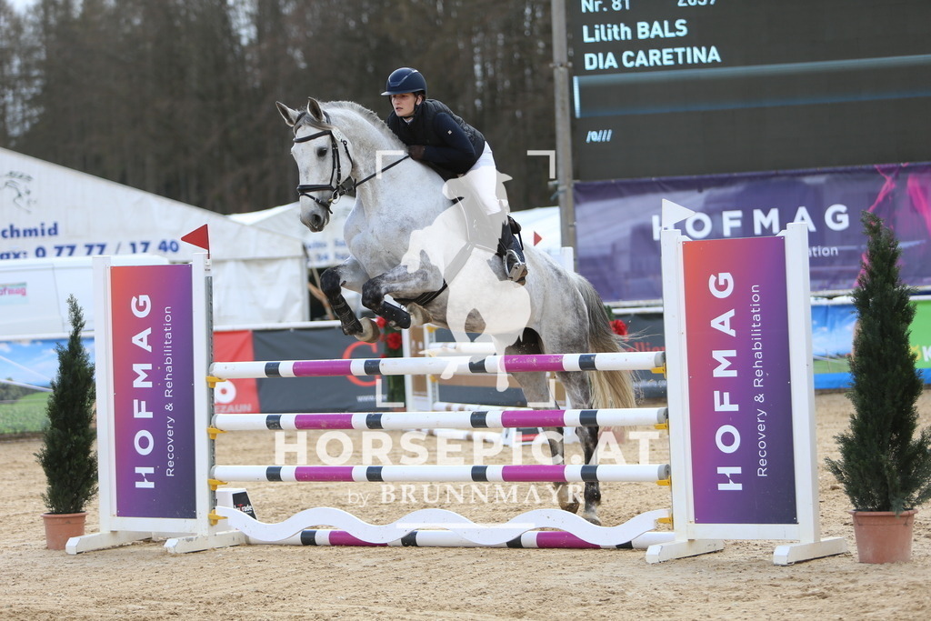 DL2Q9476 | Willkommen bei Brunnmayr - Design & Fotografie – Ihrem Spezialisten für Reitturniere und Pferdeveranstaltungen in Oberösterreich, Salzburg und Bayern! Seit über 17 Jahren sind wir leidenschaftlich dabei.