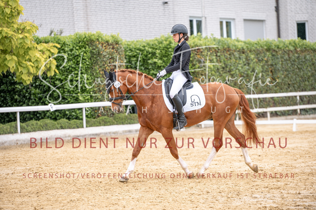 Schugtsche-Aluta25-41.Amat-Dressurprf.A_-312 | Schugtsche Fotografie - Realisiert mit Pictrs.com