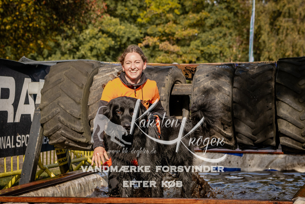 1301_ZZ91669 | kk-dogfotos