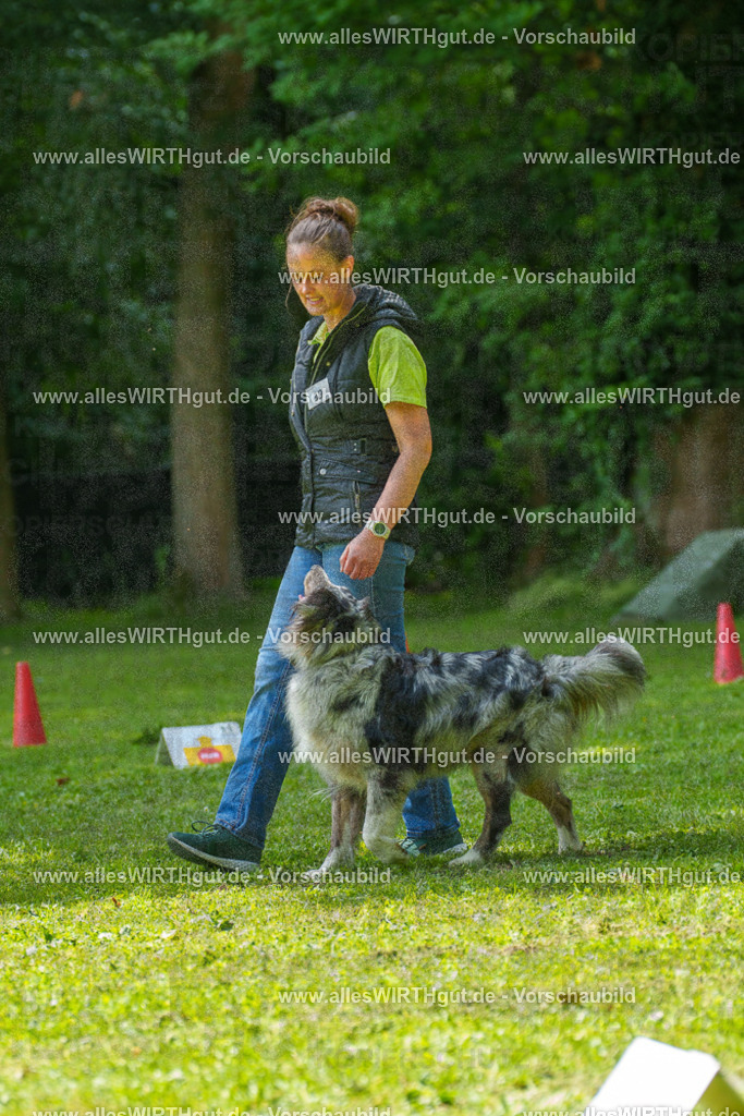 @allesWIRTHgut_Tierfotografie - www.allesWIRTHgut.de - 7R504739 | Professionelle Tierfotografie in Mönchengladbach von Daniel Wirth (allesWIRTHgut). Liebevolle & natürliche Bilder von Hunden & Katzen für unvergessliche Erinnerungen.