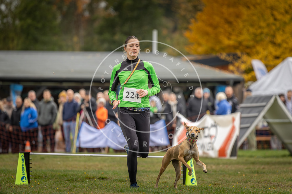 Pfotenfotografie_DV3A3147 | Hundefotografie, Tierfotograf, Pfotenfotografie, Fotoshooting Hund, Hunde Portrait, Hundesport, Hundeportraits, Heideshooting, Hunde, Sportfotograf, Hundefotograf, Turnierhundsport, THS,  - Realisiert mit Pictrs.com