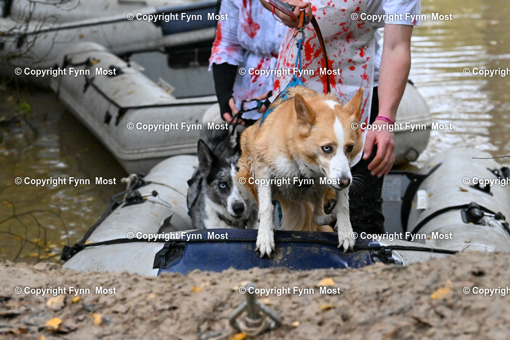 DSC_6343 | Hallo und herzlich Willkommen auf meiner Shop-Seite Fynn Most.

Ich wünsche Dir viel Spaß beim stöbern durch die Bilder, wenn Du Fragen hast oder Bilder vermisst, kannst du mir gerne eine Nachricht schreiben. - Realisiert mit Pictrs.com