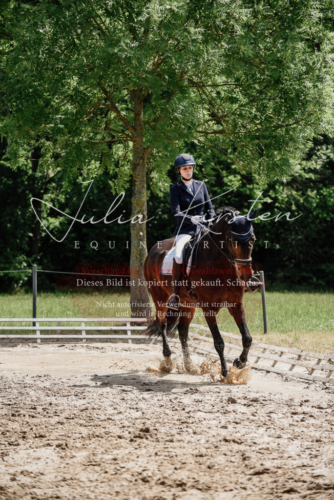 DSC_1438 | Pferde- und Turnierfotografie in Westsachsen. Pferdeportraits, Auftragszeichnungen und intuitive Kunst.