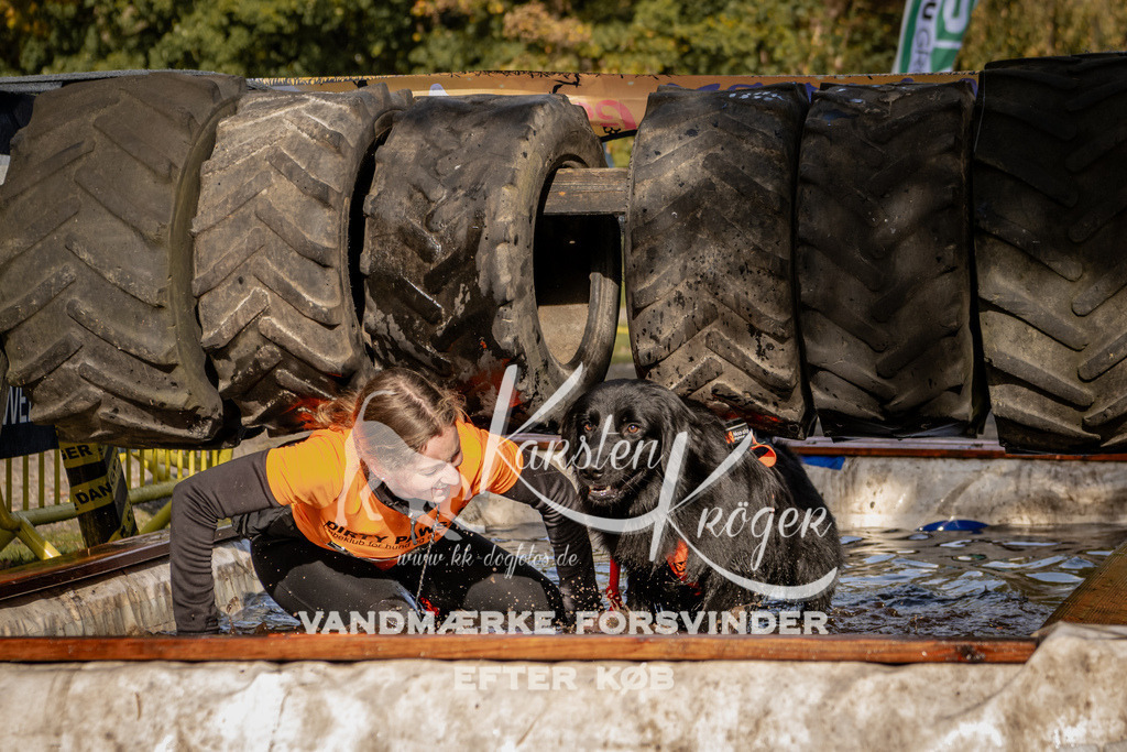 1301_ZZ91661 | kk-dogfotos