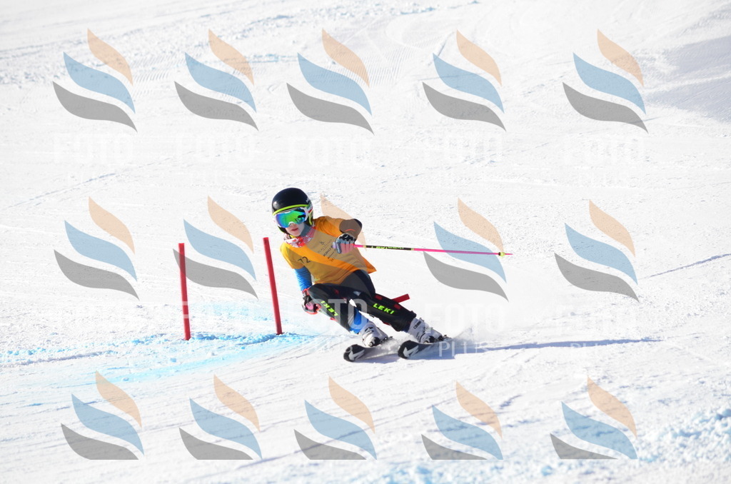 C5902 | holidayphoto