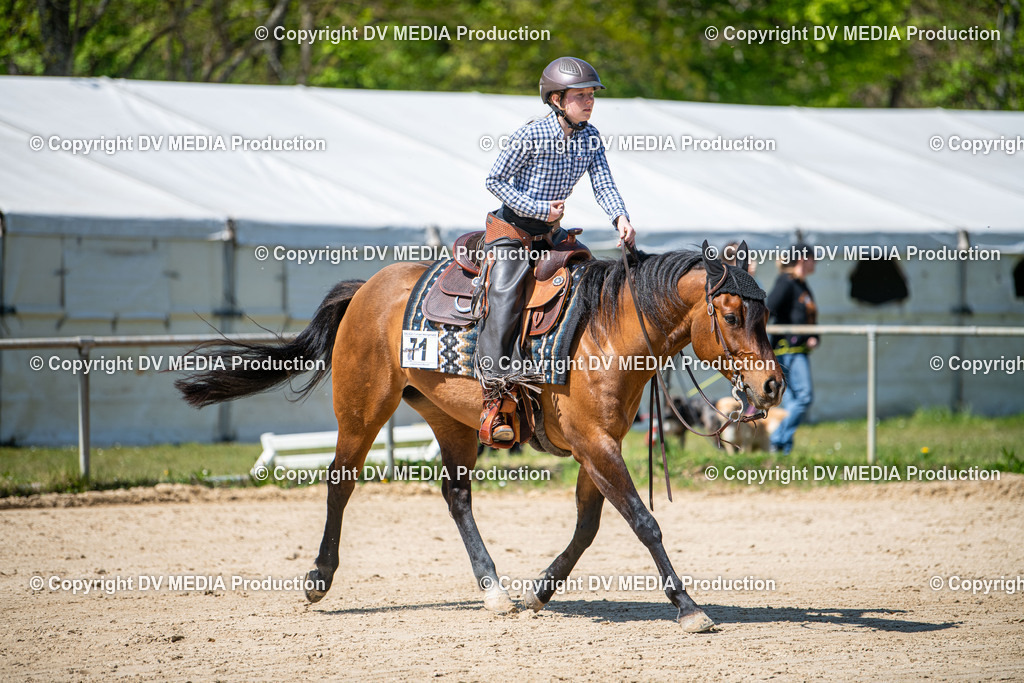 Heiligenwald Tag 3-1857 | dv-media-shop - Realisiert mit Pictrs.com
