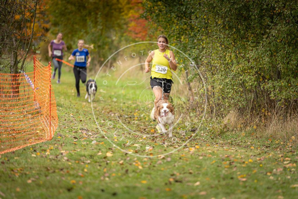 Pfotenfotografie_DV3A4494 | Hundefotografie, Tierfotograf, Pfotenfotografie, Fotoshooting Hund, Hunde Portrait, Hundesport, Hundeportraits, Heideshooting, Hunde, Sportfotograf, Hundefotograf, Turnierhundsport, THS,  - Realisiert mit Pictrs.com