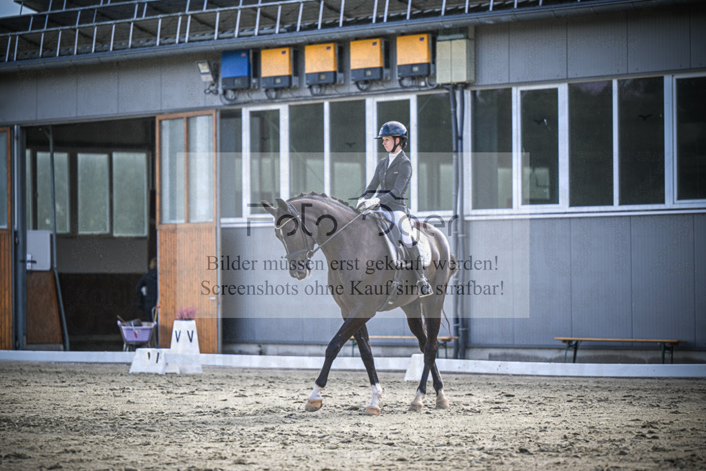 DOS_0175 | Entdecke hochwertige Reitturnierfotos von Foto Oger. Professionell, emotional und authentisch – jetzt Lieblingsmomente im Shop bestellen.Deutschlandweite Turnierfotografie. - Realisiert mit Pictrs.com