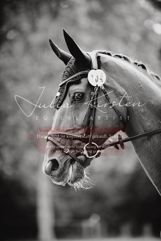 DSC_0718 | Pferde- und Turnierfotografie in Westsachsen. Pferdeportraits, Auftragszeichnungen und intuitive Kunst.
