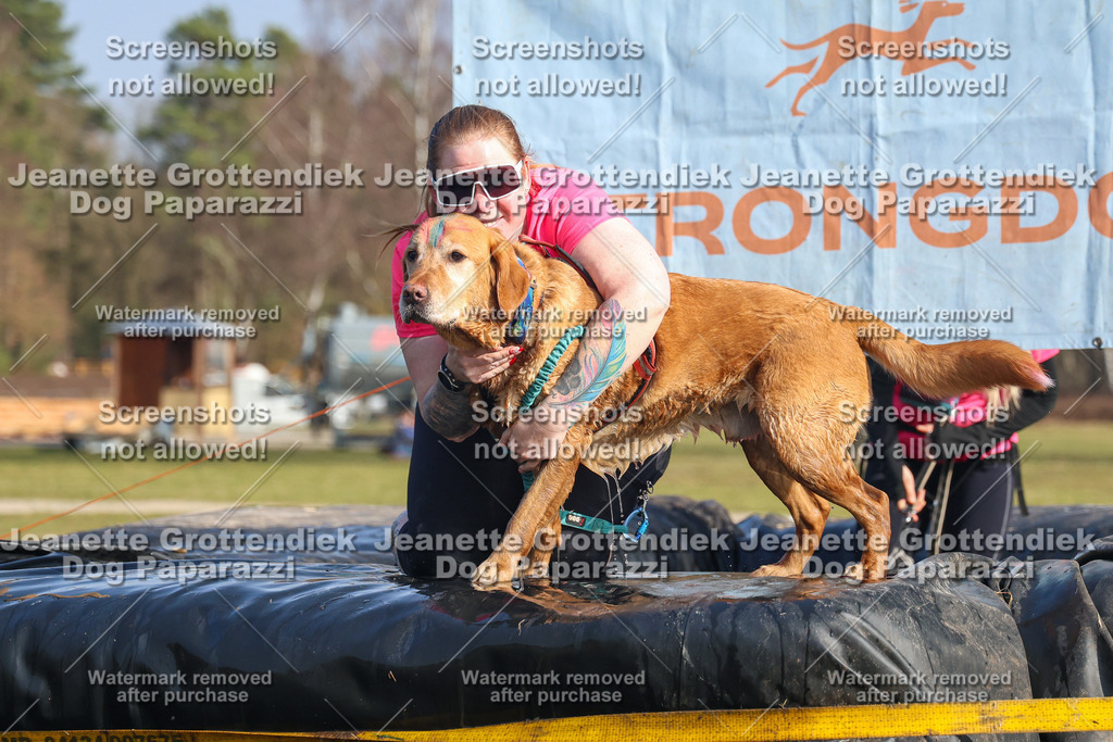 Dog Paparazzi - Strongdog North Mrz26-2805 | Dog Paparazzi Jeanette Grottendiek Fotografie & Videografie - Realisiert mit Pictrs.com