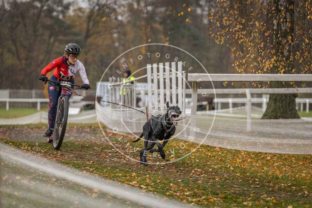 CaniXpix_DV3A7835 | Hundefotografie, Tierfotograf, Pfotenfotografie, Fotoshooting Hund, Hunde Portrait, Hundesport, Hundeportraits, Heideshooting, Hunde, Sportfotograf, Hundefotograf, Turnierhundsport, THS,  - Realisiert mit Pictrs.com