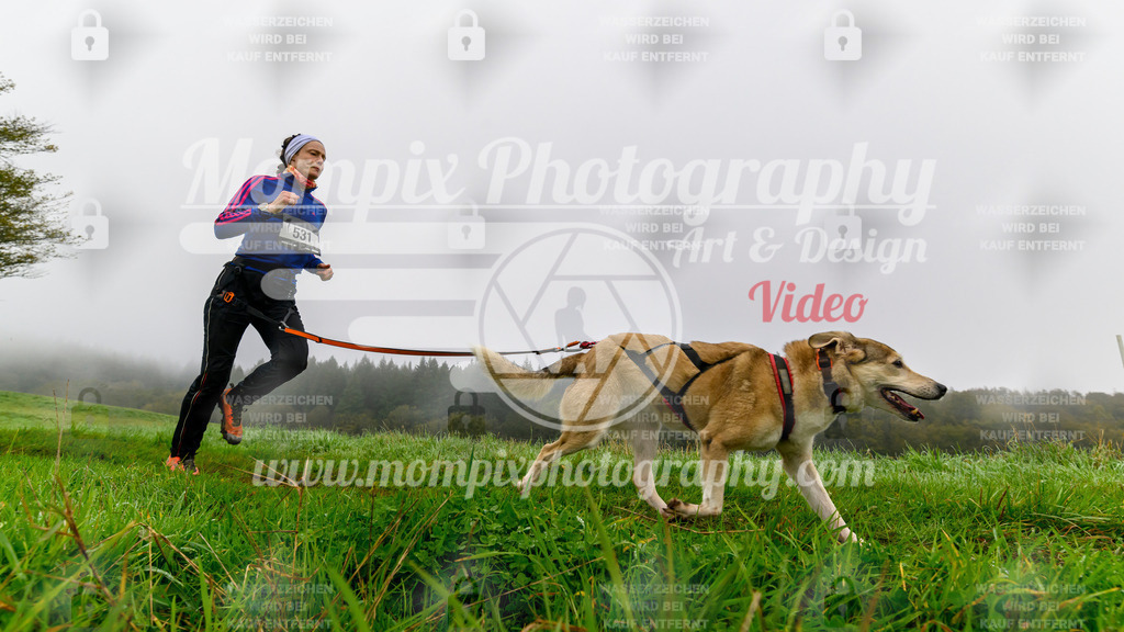 MompixPhotography_20TSB_E5_Run-80 | PayLife