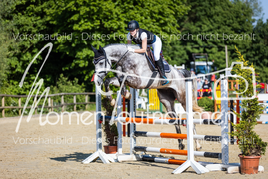 Donop24-ASpr-093 | MomenTaufnahmen Pferdesportfotos