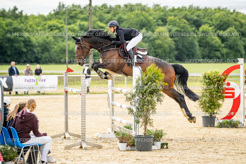 DSC05921 | Pferdegrafie