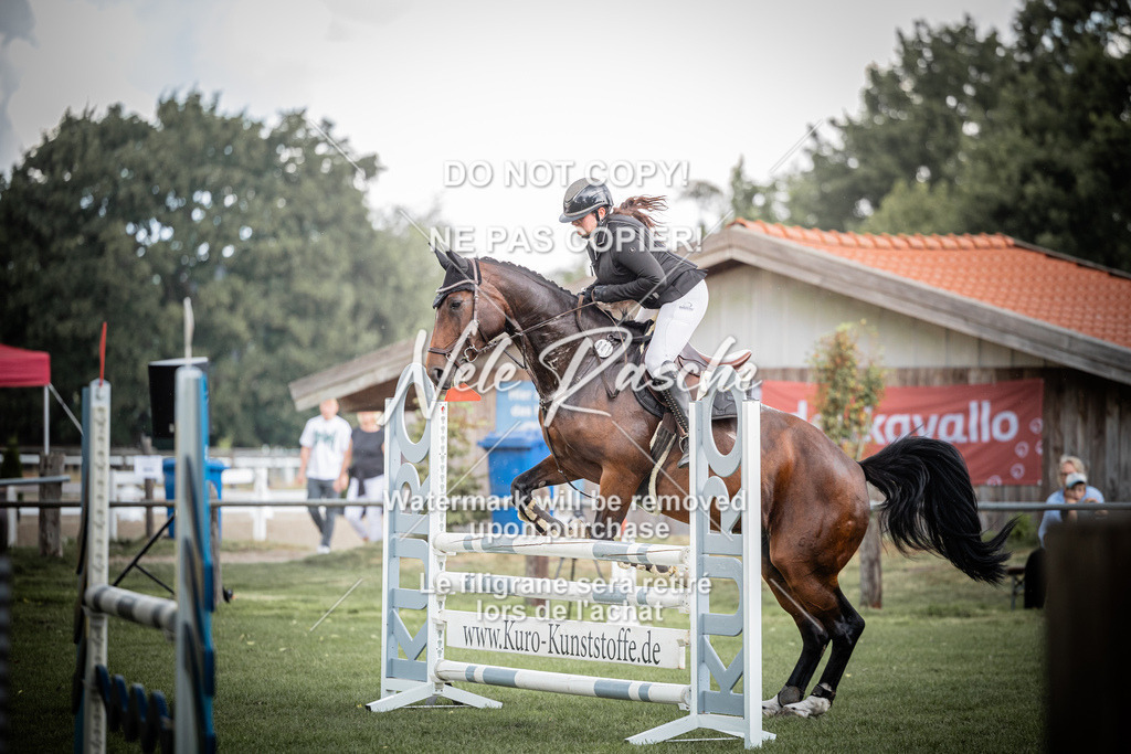 nelerasche_SprA__100Ede_23 | nelerasche