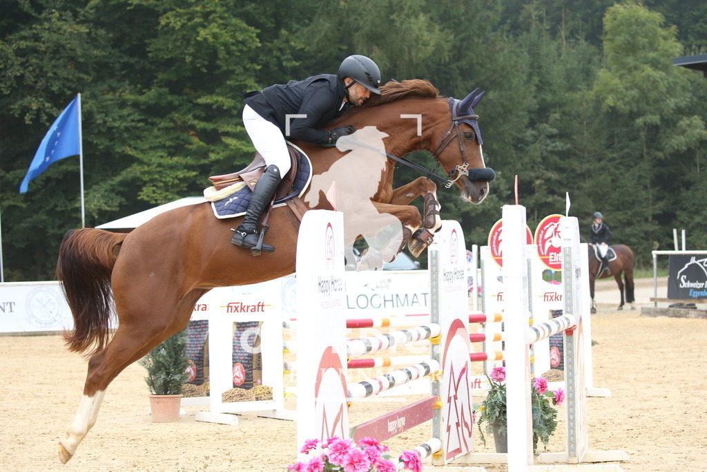 DL2Q3759 | Willkommen bei Brunnmayr - Design & Fotografie – Ihrem Spezialisten für Reitturniere und Pferdeveranstaltungen in Oberösterreich, Salzburg und Bayern! Seit über 17 Jahren sind wir leidenschaftlich dabei.