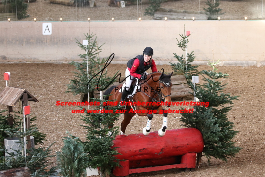 IMG_9636 | lmwpictures - Realisiert mit Pictrs.com