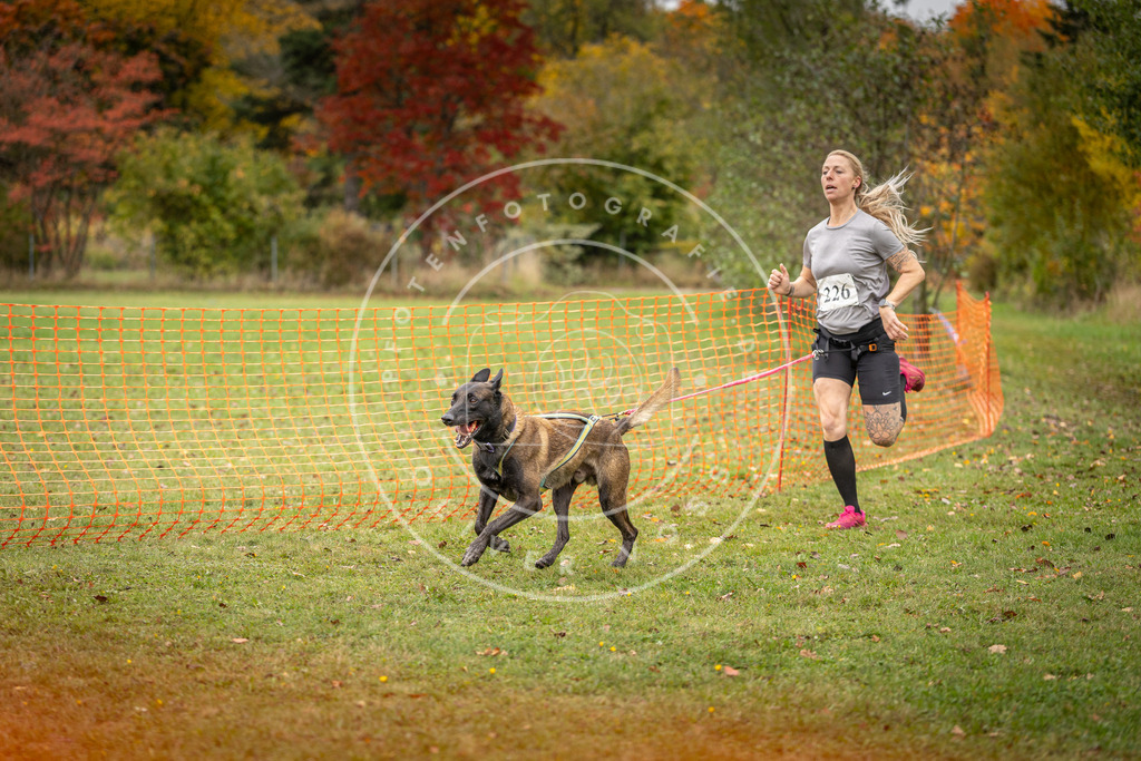 Pfotenfotografie_DV3A4637 | Hundefotografie, Tierfotograf, Pfotenfotografie, Fotoshooting Hund, Hunde Portrait, Hundesport, Hundeportraits, Heideshooting, Hunde, Sportfotograf, Hundefotograf, Turnierhundsport, THS,  - Realisiert mit Pictrs.com