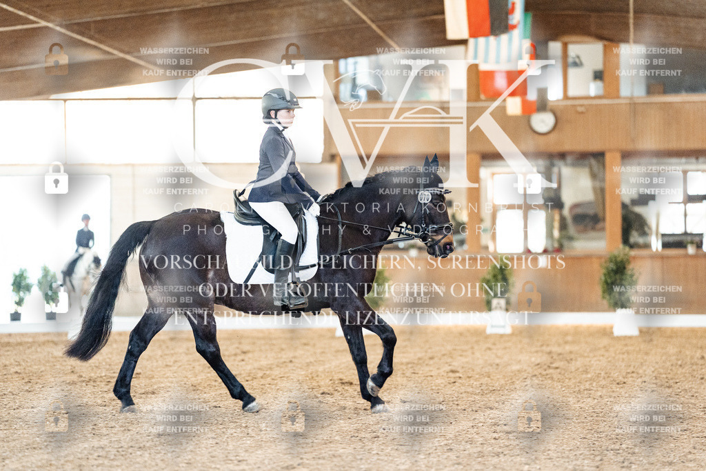 CK906750 | Turnierfotografie Pferdefotografie Trier Rheinland-Pfalz Pferdesport Reitsport Tierfotografie Sportfotografie Pferdevideo Pferdevideografie Equestrianvideography equestrianphotography  - Realisiert mit Pictrs.com