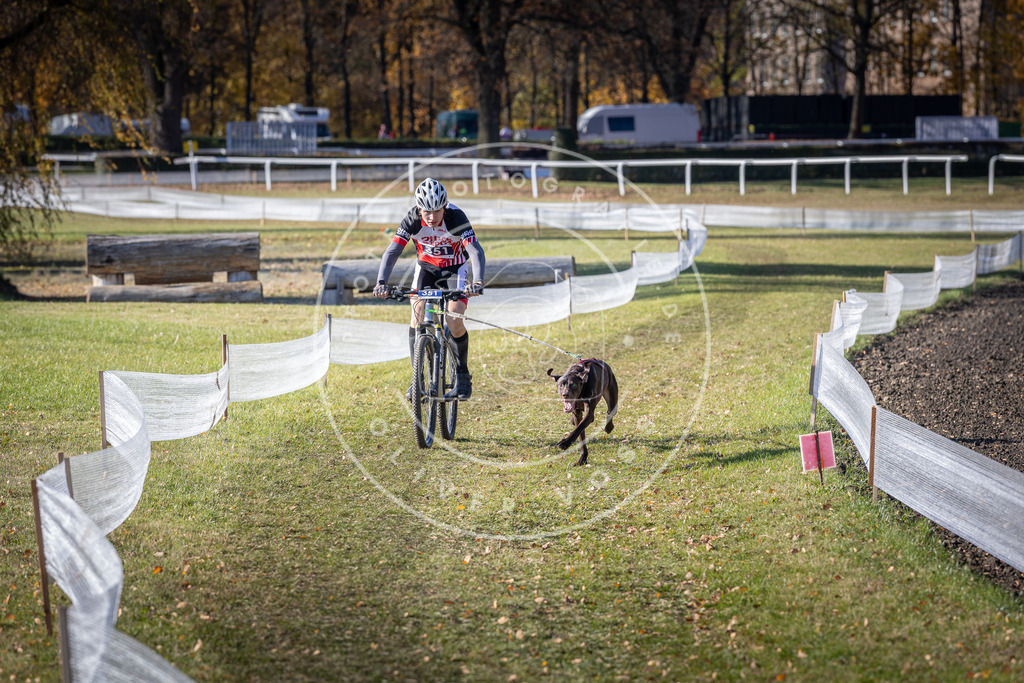 CaniXpix_DV3A7147 | Hundefotografie, Tierfotograf, Pfotenfotografie, Fotoshooting Hund, Hunde Portrait, Hundesport, Hundeportraits, Heideshooting, Hunde, Sportfotograf, Hundefotograf, Turnierhundsport, THS,  - Realisiert mit Pictrs.com