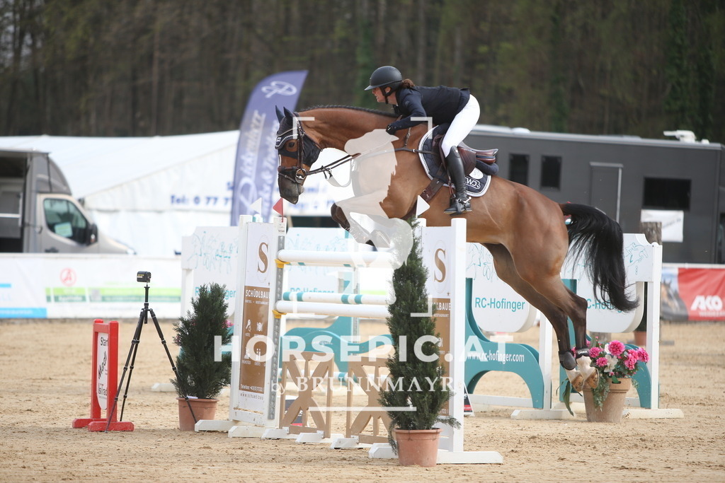PP018412 | Willkommen bei Brunnmayr - Design & Fotografie – Ihrem Spezialisten für Reitturniere und Pferdeveranstaltungen in Oberösterreich, Salzburg und Bayern! Seit über 17 Jahren sind wir leidenschaftlich dabei.