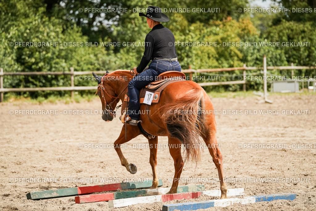 DSC00547 | Pferdegrafie