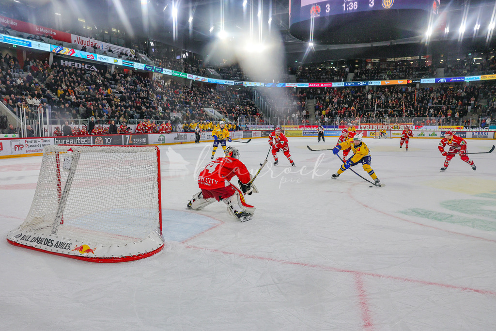 EHCB vs HCD 20260106_wb-0855 | Sportbilder, Sportfotograf, Hochzeits- und Eventfotografin, Flugshows, Portraits und Tiershooting, Aviation, Downhill, Nationalleague, Swissleague, International