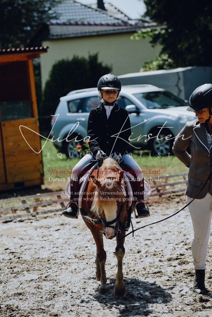 DSC_2278 | Pferde- und Turnierfotografie in Westsachsen. Pferdeportraits, Auftragszeichnungen und intuitive Kunst.