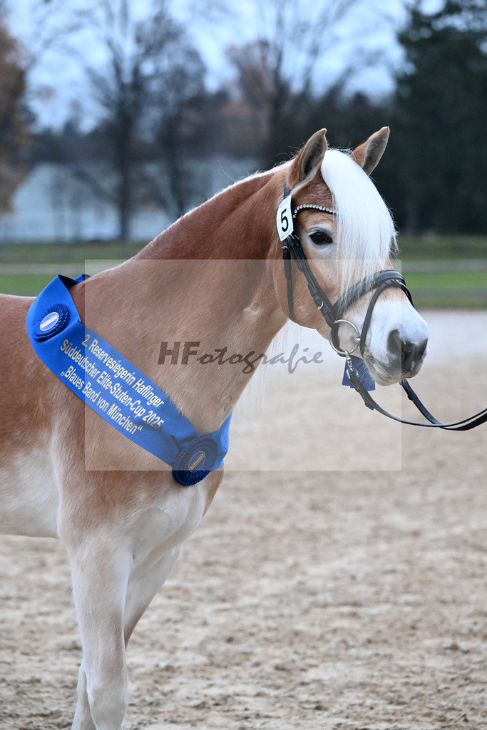 Bl. Band Kat-Nr. 5 Lady Cool v. Wetterstein_Gossner_48251994 | hf-fotografie - Realisiert mit Pictrs.com
