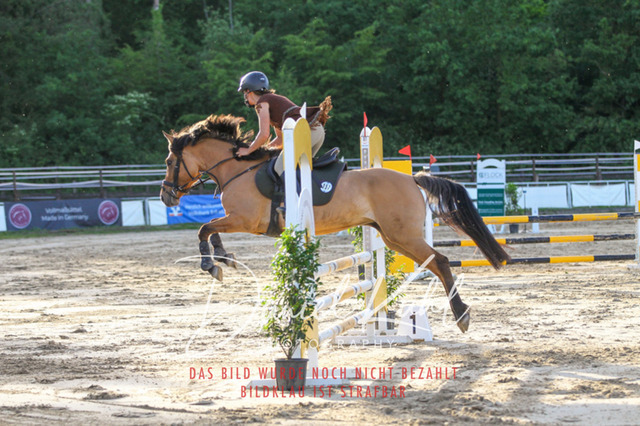 DKP45227 | Turnierfotos kaufen im Webshop von Daniel Kuhl Photography – entdecke professionelle Reitsportfotos aus Turnieren & Events. Hochwertige Turnierbilder online bestellen & sichern. Jetzt Fotos von Reitsportturnieren kaufen!