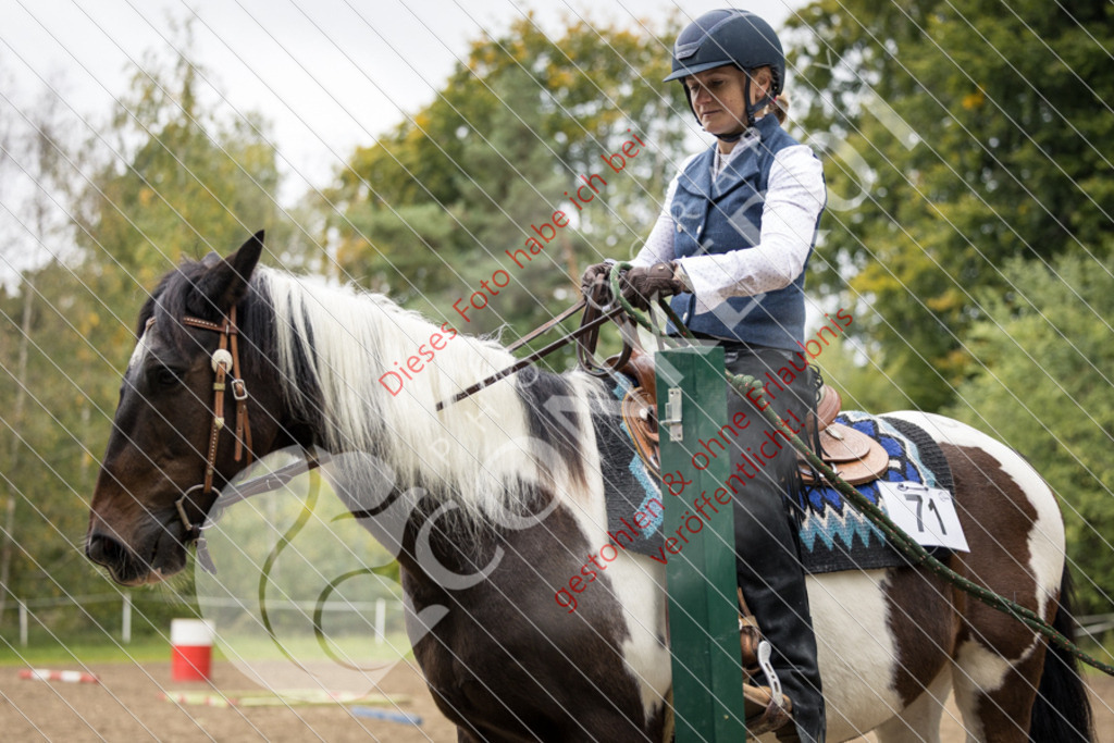 CON_0736 | Sport-, Event- und Tierfotos in Profiqualität. Einfach auswählen, bestellen und herunterladen. Dein Moment – perfekt festgehalten.