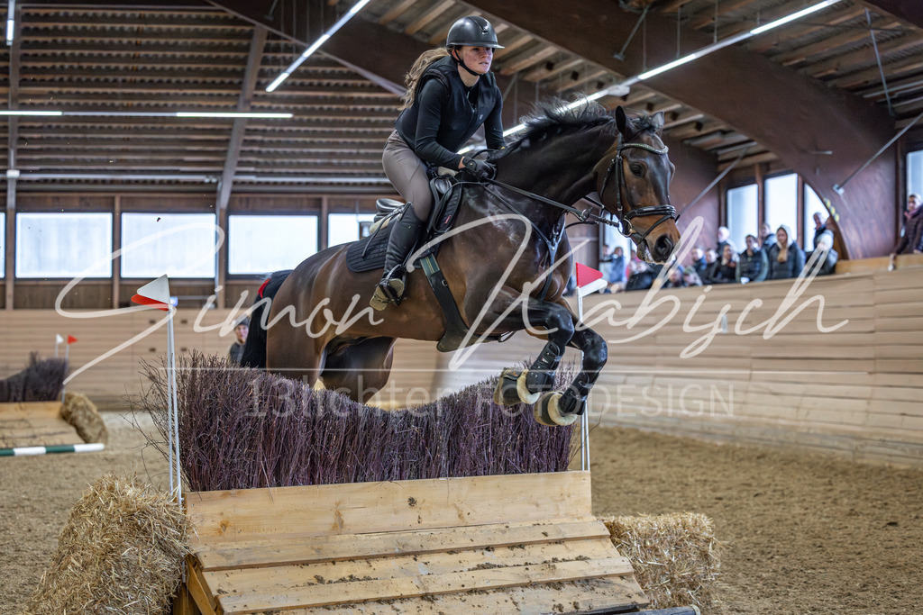 20260222-_3LI2004 | Tierfotografie Pferde, Hunde, Katzen, Haustiere.
Turnierfotografie Reitturniere, Reiten, Springreiten, Dressur in Hanau, dem Main-Kinzig-Kreis und dem Rhein-Main- Gebiet um Frankfurt