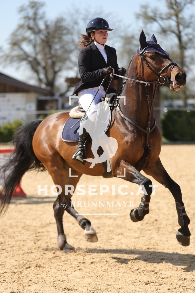 0P6A1393 | Willkommen bei Brunnmayr - Design & Fotografie – Ihrem Spezialisten für Reitturniere und Pferdeveranstaltungen in Oberösterreich, Salzburg und Bayern! Seit über 17 Jahren sind wir leidenschaftlich dabei.