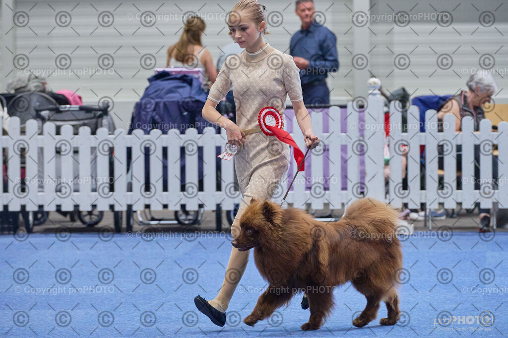 202406_ÖKV-IHA-Tulln24_DSC_5030 | proPHOTO - Realisiert mit Pictrs.com