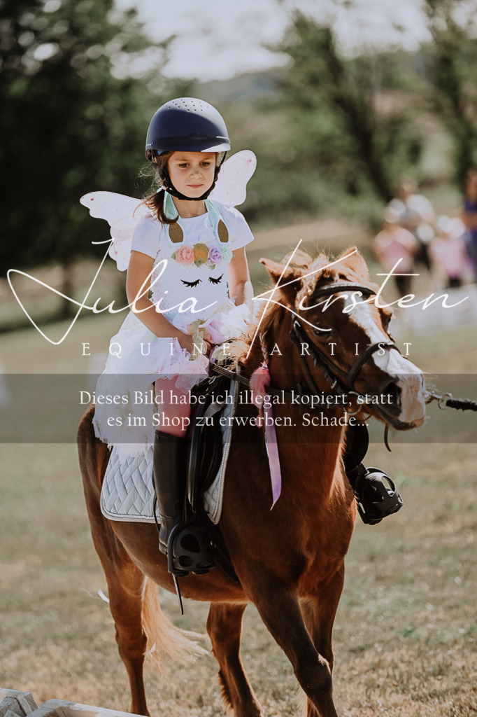 DSC_9134 | Pferde- und Turnierfotografie in Westsachsen. Pferdeportraits, Auftragszeichnungen und intuitive Kunst.