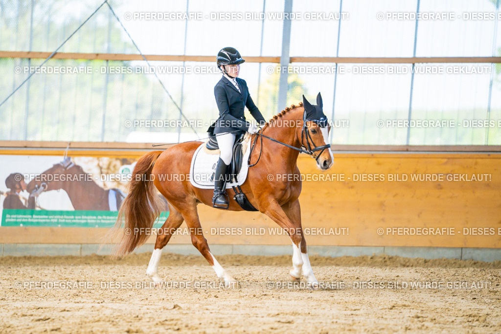 DSC06819 | Pferdegrafie