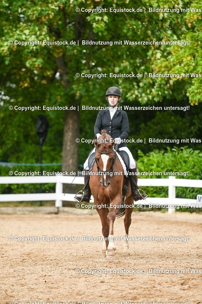 20230716_01_Dressurprüfung Kl.M_0536 | equistock