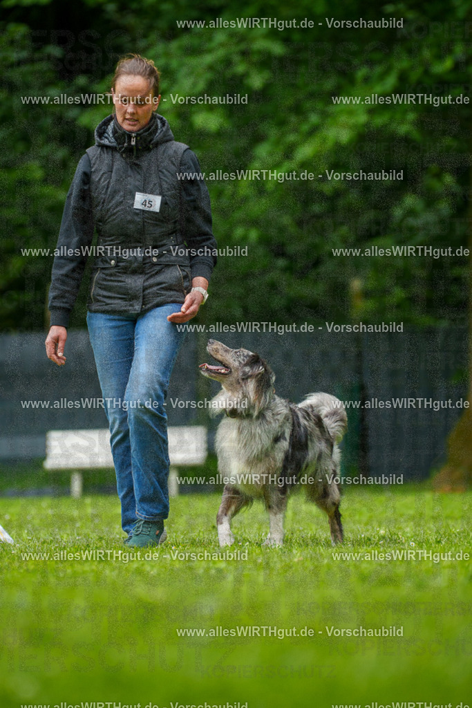 @allesWIRTHgut_Tierfotografie - www.allesWIRTHgut.de - 7R500280 | Professionelle Tierfotografie in Mönchengladbach von Daniel Wirth (allesWIRTHgut). Liebevolle & natürliche Bilder von Hunden & Katzen für unvergessliche Erinnerungen.