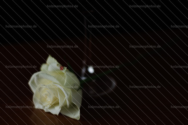 20260515-IMG_5584 | Authentische Fotografie für Menschen, Marken und Räume. Portraits, Editorial, Fine Art und atmosphärische Bildwelten im Werra-Meißner-Kreis, Kassel und Eisenach. Emotion im Fokus.