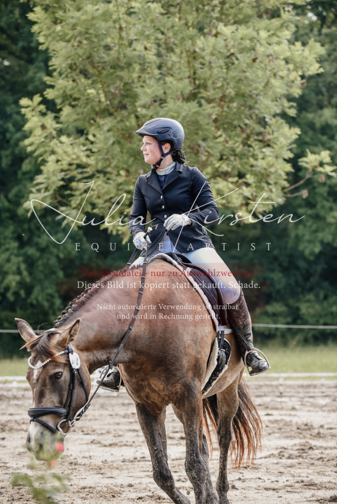 DSC_9328 | Pferde- und Turnierfotografie in Westsachsen. Pferdeportraits, Auftragszeichnungen und intuitive Kunst.