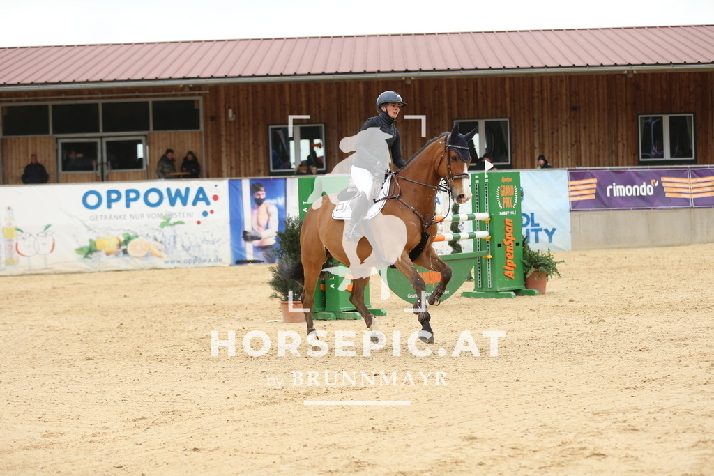 DL2Q5776 | Willkommen bei Brunnmayr - Design & Fotografie – Ihrem Spezialisten für Reitturniere und Pferdeveranstaltungen in Oberösterreich, Salzburg und Bayern! Seit über 17 Jahren sind wir leidenschaftlich dabei.